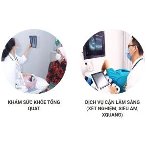 V. Dịch vụ cung cấp